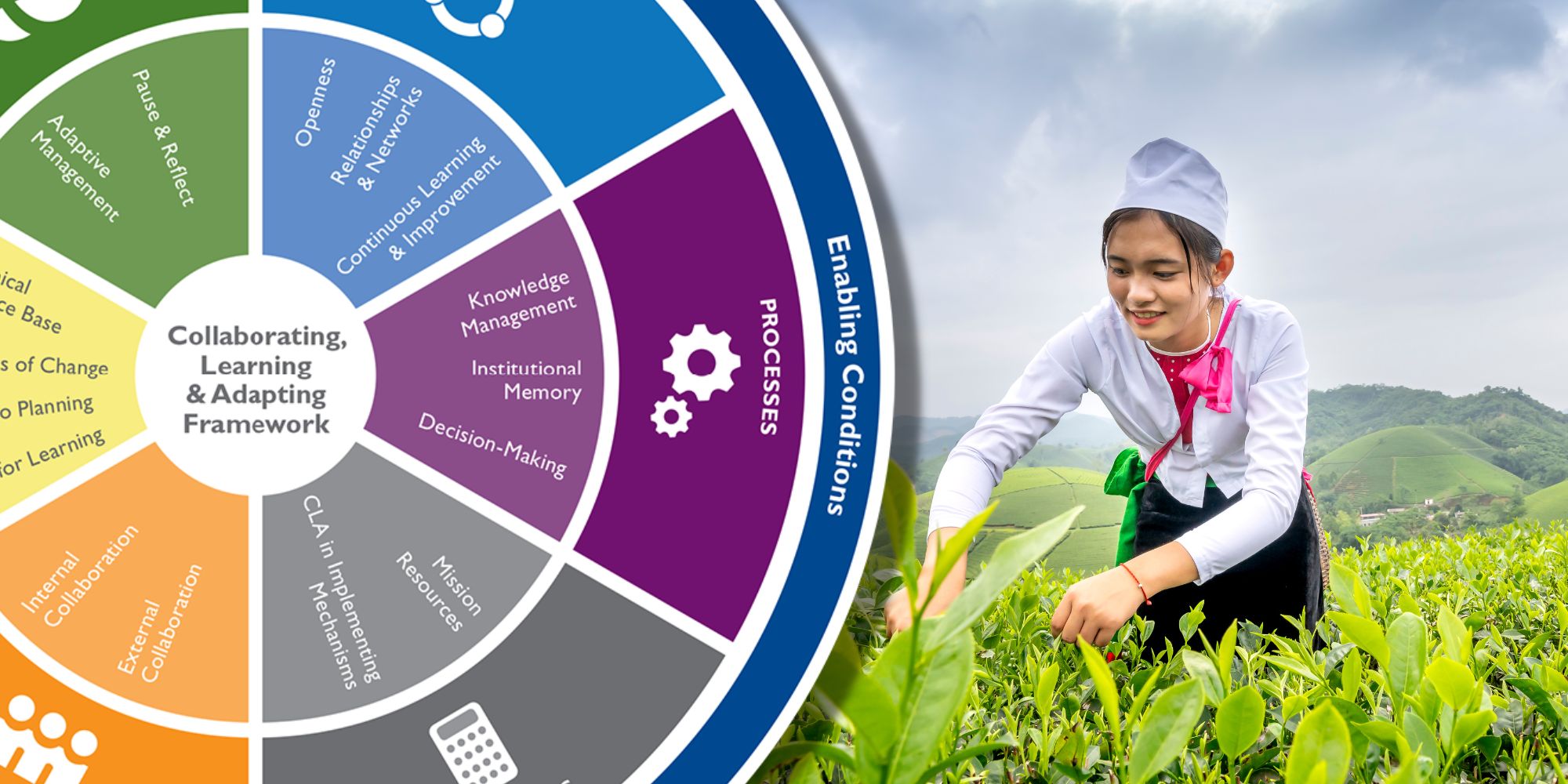 How does Collaborating, Learning & Adapting (CLA) improve Development